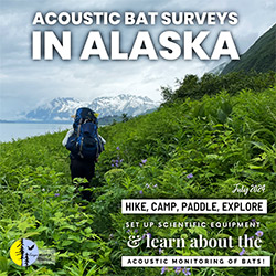 Acoustic Bat Surveys in Alaska