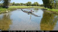 Bird Haven Ranch